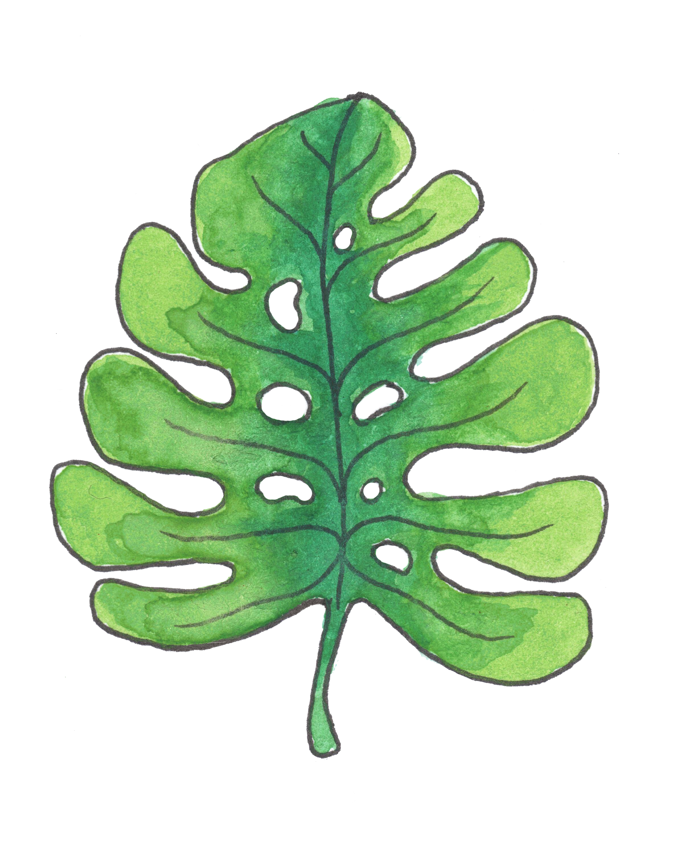 Recursos Humanos & Contabilidad